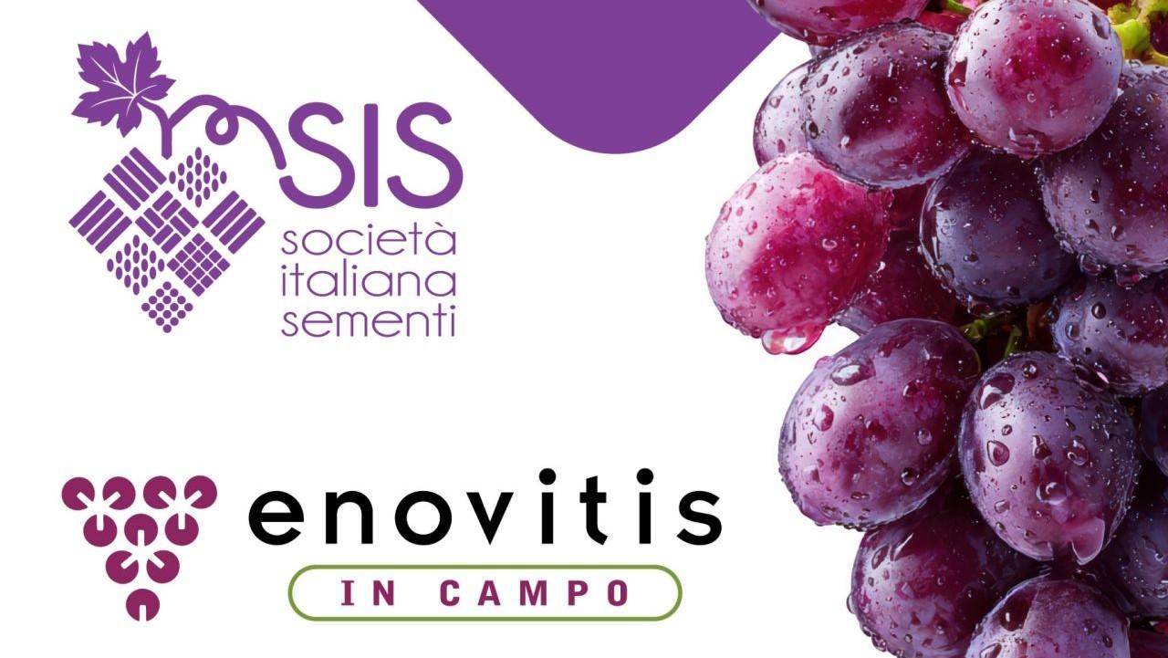 SIS a ENOVITIS 2026