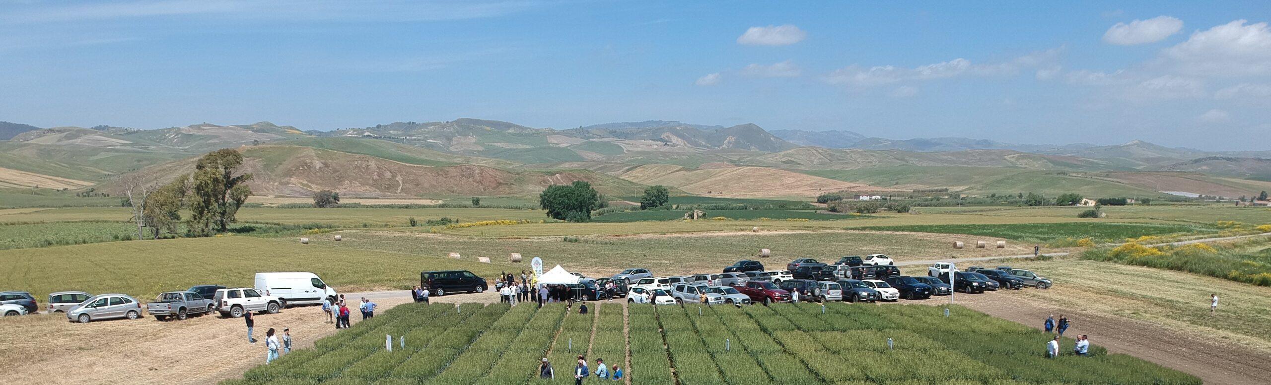 Giornate Cereali 2026 – 9 Maggio a Caltagirone (CT)