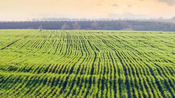 Date limite consigliate per le semine