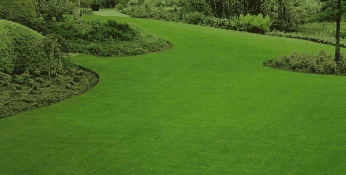 Linea Professionale ilMix