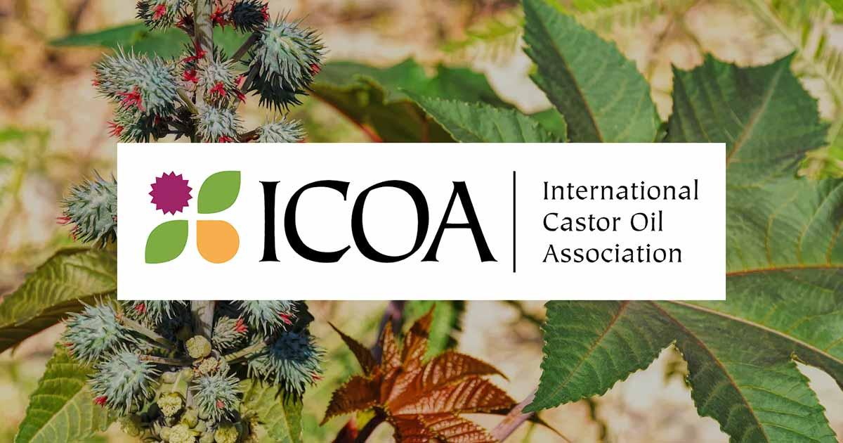 SIS al Convegno ICOA 2026