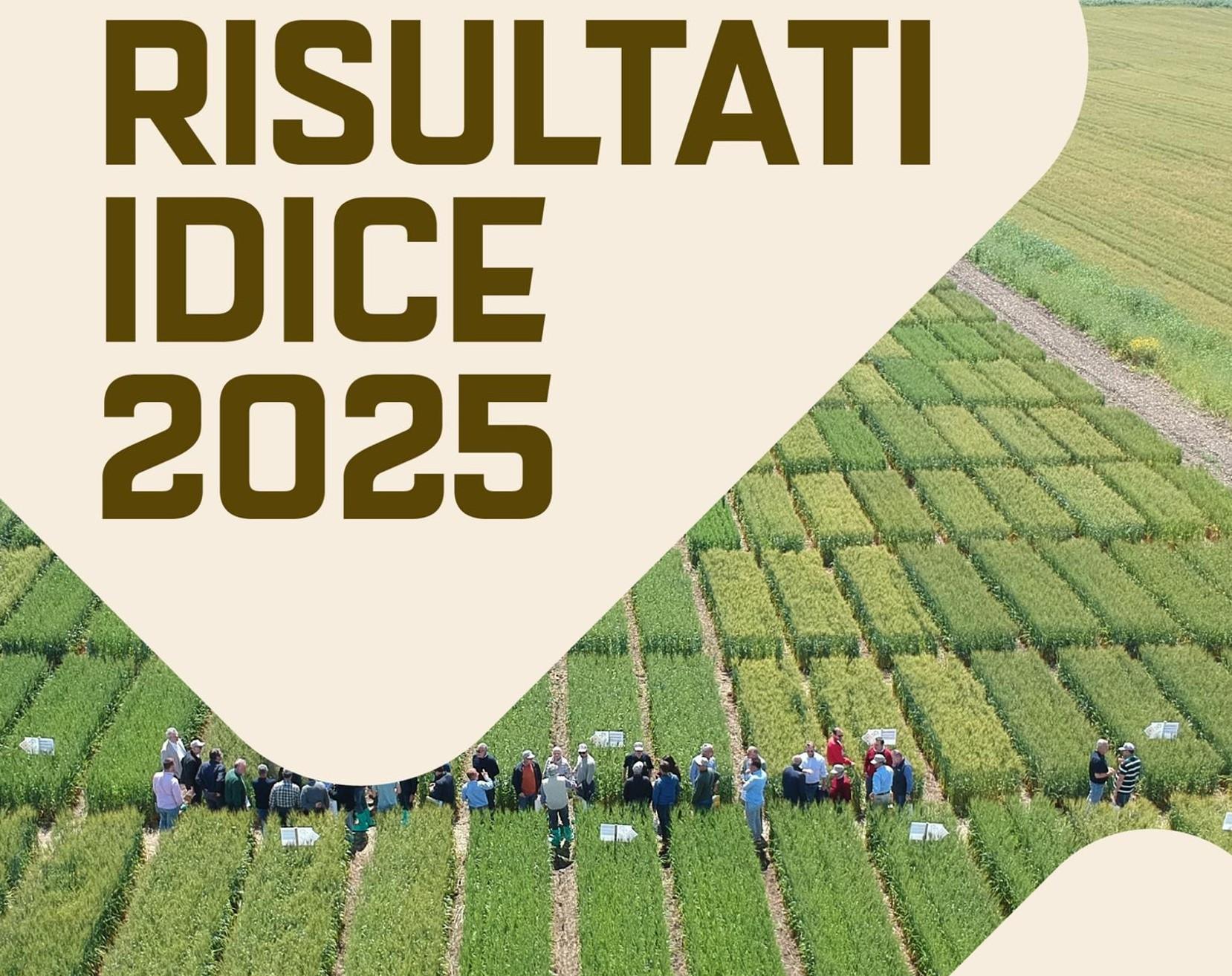 Giornate Cereali 2025 – Risultati Idice