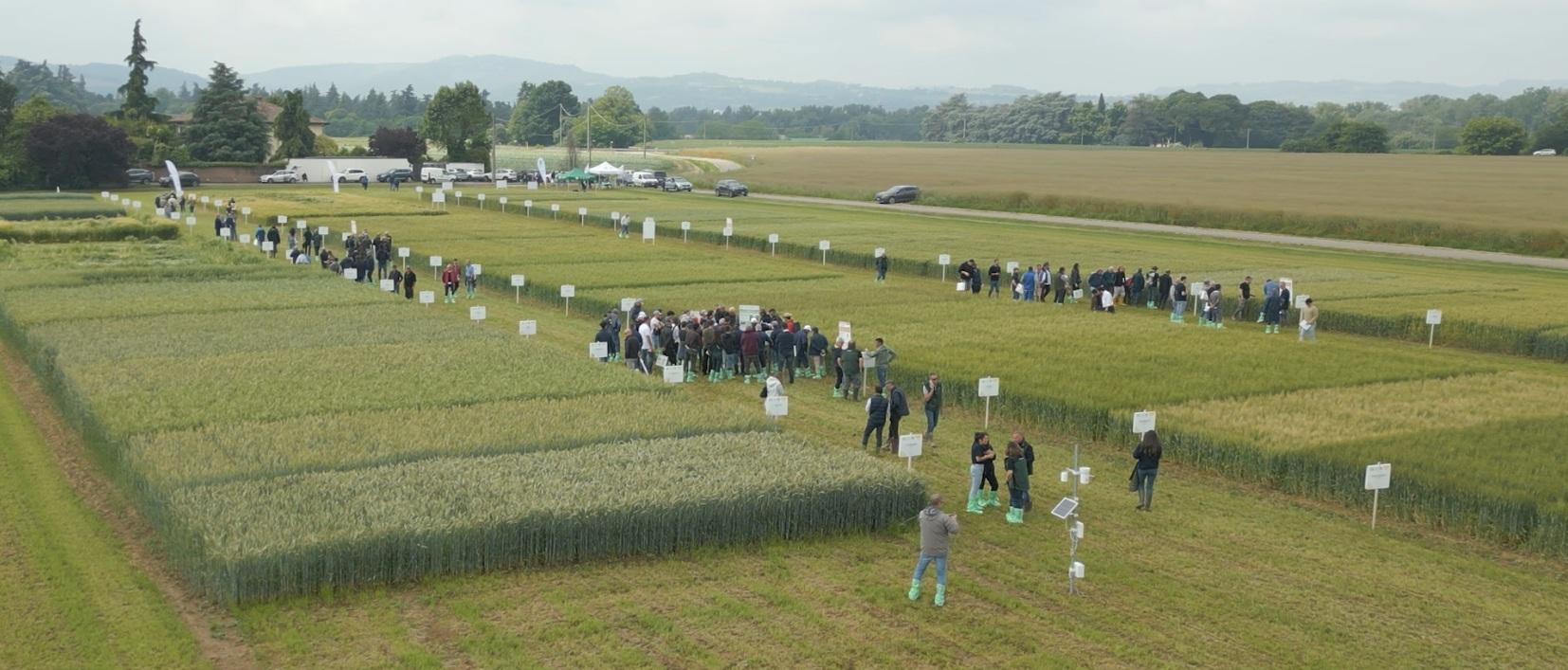 Giornate Cereali 2025 – Video Idice